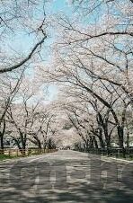2018最新日本动漫伦理-2018年最新日本动漫伦理探索，在虚构世界中寻找真实的人性