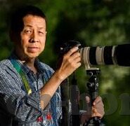 91麻豆香蕉视频-无邪念观影，健康上网新风向——91麻豆香蕉视频的理性解读