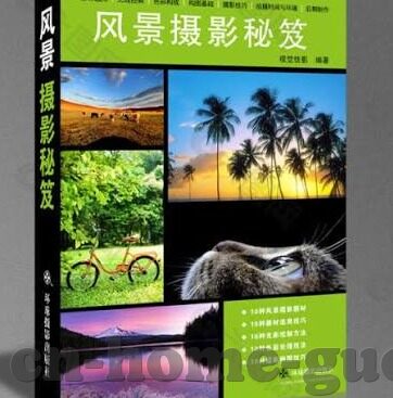大象传媒app成人-探索大象传媒APP，成人内容平台的多元化与边界