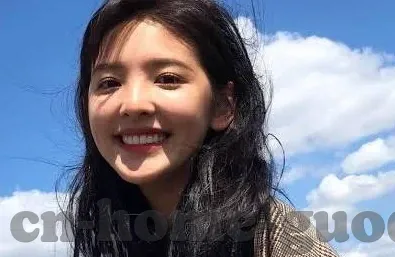 动漫成人视频-动漫成人视频，文化现象与影响