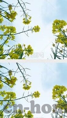 欧美日韩一区二区三区视频播放-探索全球影视文化的多元视角，欧美、日韩影视作品赏析