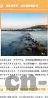 日韩av无码久久精品免费-日韩AV无码久久精品免费，网络色情内容的警示与影响