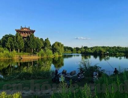 糖心视频app下载网页-探寻影像娱乐新境界，糖心视频APP下载指南
